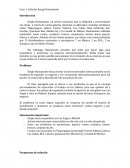 Caso de estudio: Galerías Sergio Bustamante