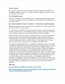 Gisela Peiper Konopka ¿Qué es un poster?