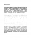 Ensayo sobre Cultura organizacional.
