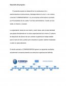 DESARROLLO DEL PROYECTO COMMSAENERGIA