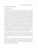 ENSAYO: DEL AMOR Y OTROS DEMONIOS