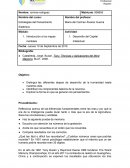 Estrategias del pensamiento sistemico. Desarrollo del Capital Intelectual
