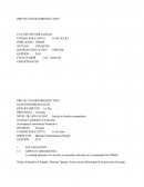 Proyecto socio-productivo