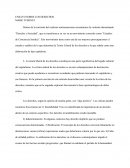 ENSAYO SOBRE LOS DERECHOS MARK TUSHNET