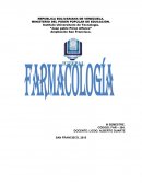 Cadena epidemiologica. Farmacologia Renal