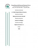 Descripción de las características del sujeto de comercio habitual.
