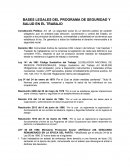BASES LEGALES DEL PROGRAMA DE SEGURIDAD Y SALUD EN EL TRABAJO