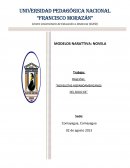 NOVELISTAS HISPANOAMERICANOS DEL SIGLO XX