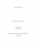 NORMAS ISO 9000 E ISO 14000