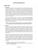 Procesos de decisión.