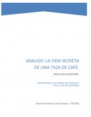 Analisis de la vida secreta de una taza de café.