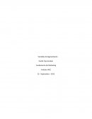 Marketing - Introducción de un nuevo producto