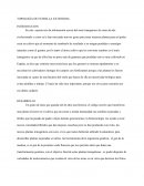 TOPOLOGÍA DE ESTRELLA EXTENDIDA.