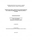 INFORME DEMOSTRATIVO DE AVANCES Y LABORES DESARROLLADAS DEL TRABAJO COMUNITARIO