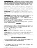 Proceso de formación de la Autoestima, el Autoconocimiento, el Autorrespeto y el Autocontrol