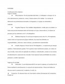 Clasificación de Empresas Según el Tamaño Según por la actividad