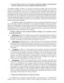 Explicación de la teoría ecológica del desarrollo humano de Bronfenbrenner