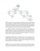 Apuntes de Administración.