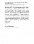 Séptimo Arte en el Ecuador: ¿Recreación o Cultura?