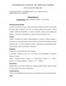 TALLER DOCTRINA Y JURISPRUDENCIA