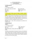 Fichas técnicas: Unidad 2 culturales