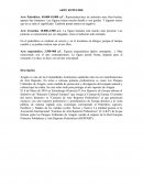 Cronología del arte rupestre