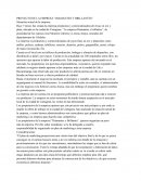 PROYECTO DE LA EMPRESA “DIAMANTES Y BRILLANTES”