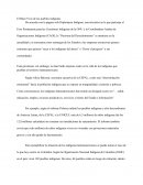 Un nuevo Articulo el buen vivir