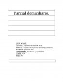 Parcial. Practicas del lenguaje