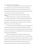 Ensayo basta de historias.