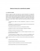 LINEAS ACTUALES DE LA GESTIÓN DE CAMBIO