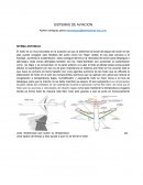 Sistemas de aviación