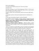 FIESTAS DECEMBRINAS LAS FIESTAS DECEMBRINAS, REGALOS Y PINO DE NAVIDAD