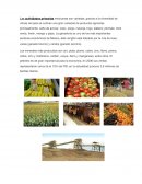 PRODUCTOS QUE SE ELABORAN EN MEXICO