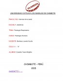 FISIOLOGIA RESPIRATORIA.