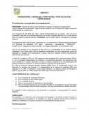 Operadores, variables, constantes, tipos de datos y expresiones