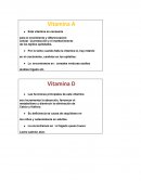 Vitaminas - resumen