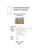 Determinantes de la demanda y sus fluctuaciones