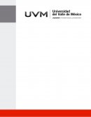 Análisis del lenguaje en una canción