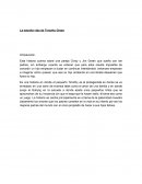 La historia de la extraña vida de Timothy Green