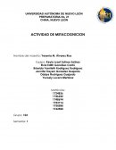 Debate grupal sobre accidente vial del conductor que atropello a mujer enferma y el conductor en estado de ebriedad.