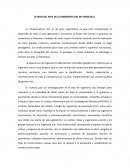 EL NUEVO ESTADO DEL ARTE DE LA INGENIERÍA VIAL EN VENEZUELA