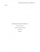 La valuación de Impacto ambiental.