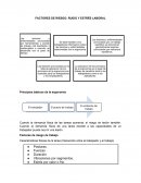 COMO SON LOS FACTORES DE RIESGO: RUIDO Y ESTRÉS LABORAL