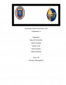 Actividad: Metacognición Preparatoria 17