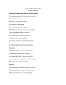 Lengua española, arte y cultura: Actividad gramatical