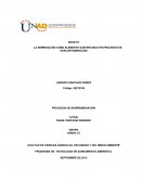 LA REMEDIACIÓN COMO ELEMENTO SUSTENTABLE EN PROCESOS DE DESCONTAMINACIÓN