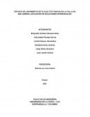 ESTUDIO DEL MOVIMIENTO DE PLACAS TECTONICAS EN LA FALLA DE SAN ANDRES, APLICACIÓN EN ECUACIONES DIFERENCIALES.