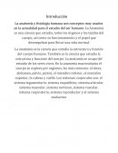 Anatomía y terminología médica