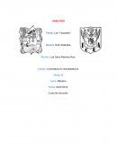 Trabajo: Los “Youtubers”.